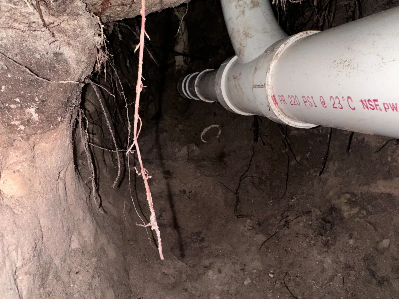 New PVC sewer line with a cleanout, laid in an open trench
