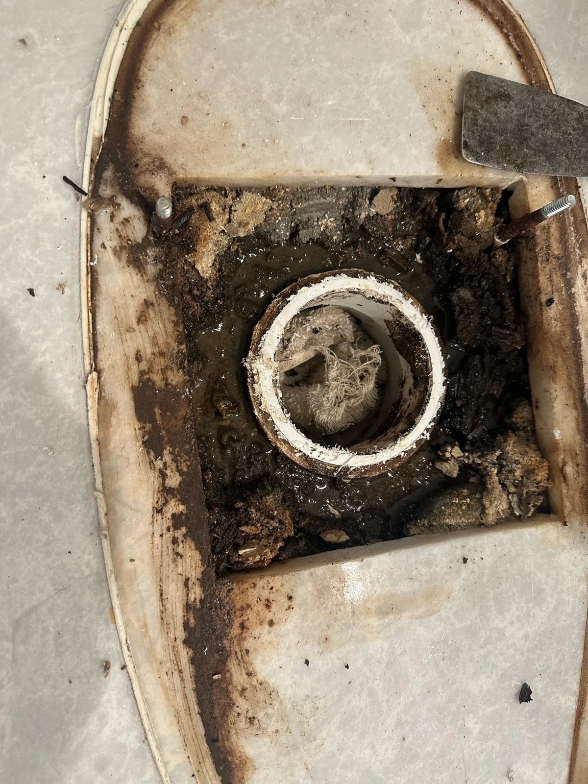 The corroded flange and old wax ring under the removed toilet
